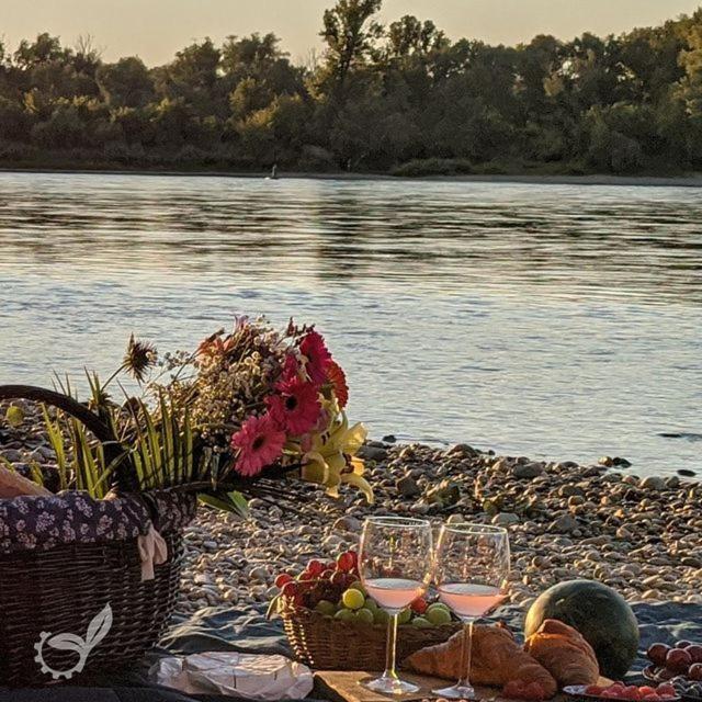 Sunrise Kube Villa Хайнбург ан дер Донау Екстериор снимка